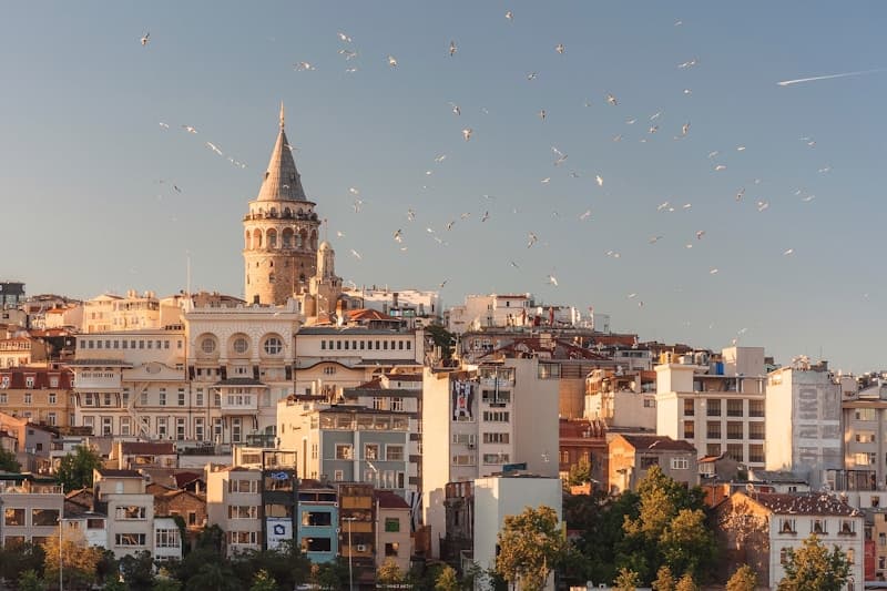 Yurtiçi Turlar
